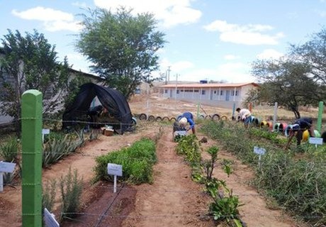 Vereador Ismael propõe implantação de hortas nas escolas municipais das aldeias e assentamentos rurais de Amambai / Foto: Ilustrativa