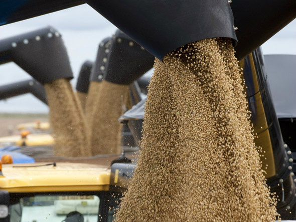 Exportação de soja do Brasil registra força no início de abril, aponta Secex