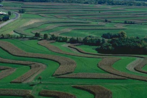 Justiça nega pedido do MPF de proibição imediata de herbicida