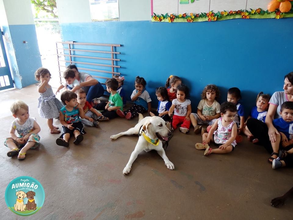 Parlamentar solicita estacionamento junto ao CEI Terra Mater Foto: Reprodução Facebook