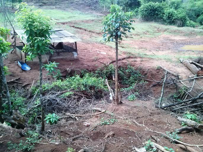 PMA prende fazendeiro por desmatamento de margem de córrego