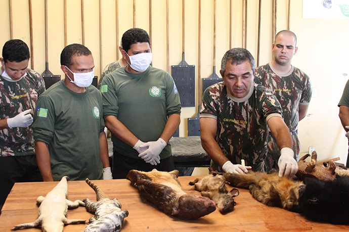 Polícia Militar Ambiental comemora 34 anos Polícia Militar Ambiental comemora 34 anos