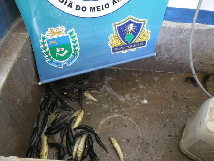 PMA autua pescador por pesca de iscas vivas durante a piracema