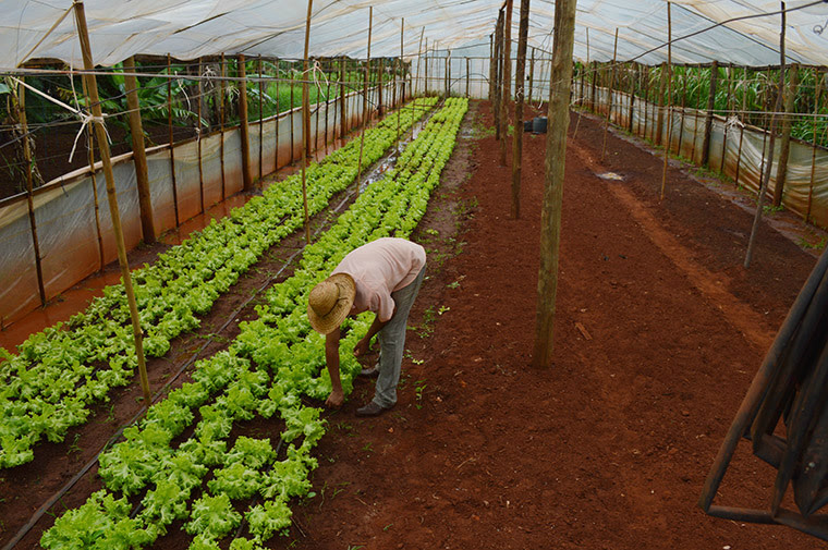 CAR é prorrogado para pequenos produtores