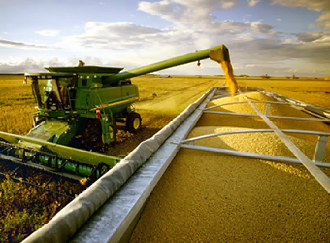 Agricultor aproveita câmbio para antecipar venda de soja de 2017 Agricultor aproveita câmbio para antecipar venda de soja de 2017