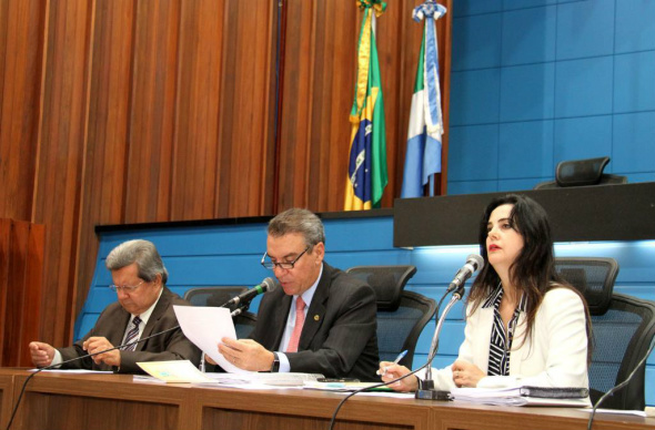 Comissão irá encaminhar o relatório final para as autoridades competentes / Foto: Wagner Guimarães