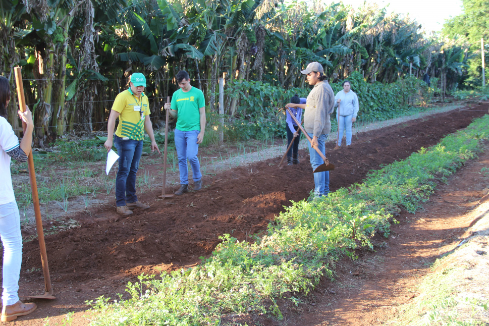 Expectativas são superadas na 1ª Semana Agropecuária que aconteceu em Amambai Curso ensinou na prática a implantação e o manejo de hortas / Foto: Divulgação