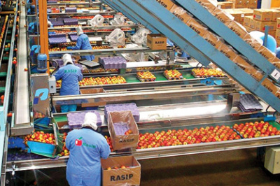 Novo sistema de conservação traz maior durabilidade de frutas e hortaliças Atmosfera dinâmica é um método alternativo / Foto: Divulgação