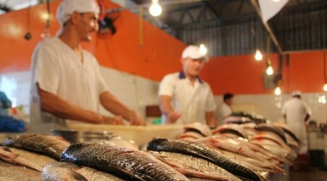 Procon detecta diferenças que vão de 0,09% a 181,70% em preços de pescados