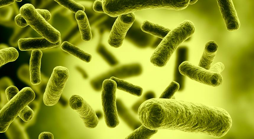 EUA detectam primeiro caso de bactéria ultrarresistente a antibióticos