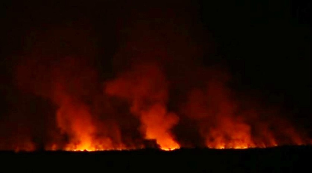 Incêndio em Corumbá que atingiu região de mata no Pantanal neste mês de abril — Foto: Reprodução/TV Morena