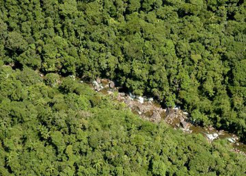 Segundo o estudo, apenas 7% da cobertura vegetal da Mata Atlântica está bem conservada