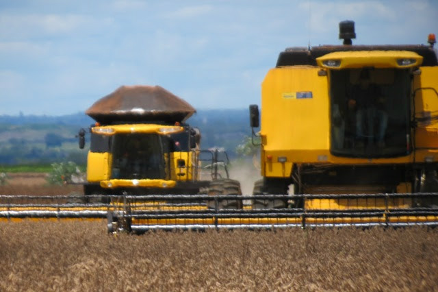 Até o momento, 65% da soja 2013/14 já foi comercializada.