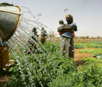 Segurança na indústria de alimentos. Foto: FAO/Giulio Napolitano