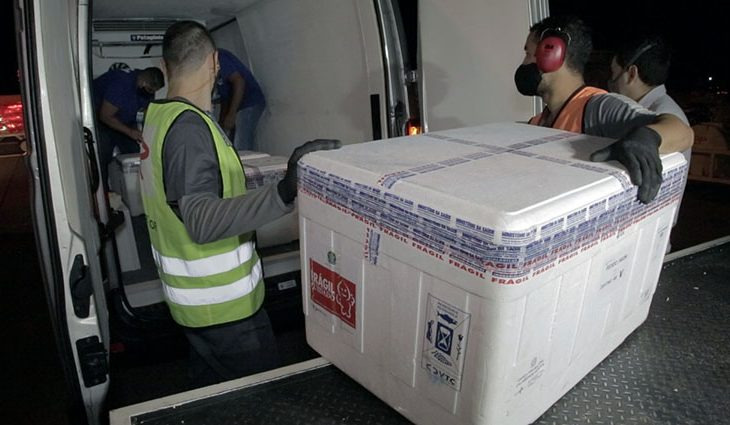 MS recebe lote de vacina com 45,5 mil doses enviadas pelo Ministério da Saúde Foto: Arquivo Subcom