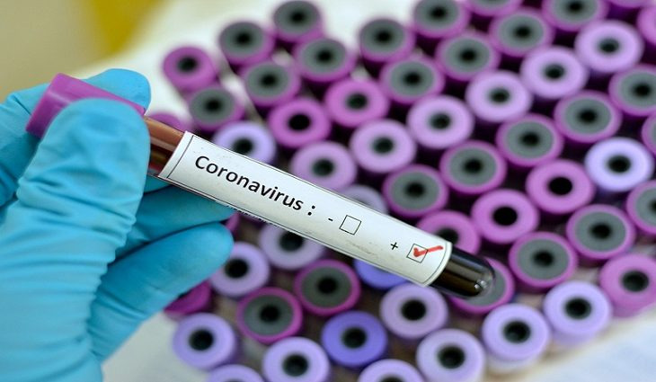 Mapeamento genômico mostra que P1 é responsável por 22% das amostras analisadas Foto: Portal MS