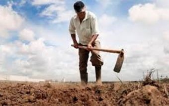 Produtor terá até dia 30 para aderir ao Programa de Regularização Tributária Prazo dilatado (Foto: Divulgação)