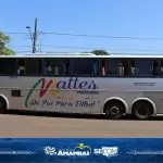 Casa do Trabalhador em Amambai encaminha 800 trabalhadores indígenas para o raleio da maçã