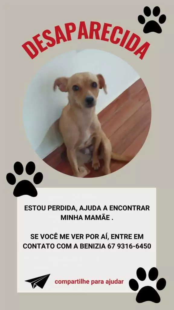 Ajude a encontrar a cachorrinha Princesa