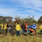 Peritos, bombeiros e PMA de MS passam por curso para identificar incêndios florestais criminosos
