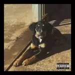 Ajude a cachorrinha Luma a voltar para casa