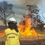 Peritos, bombeiros e PMA de MS passam por curso para identificar incêndios florestais criminosos