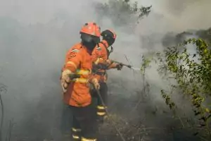 Planejamento e atuação eficiente garantem proteção do bioma Pantanal durante todo o ano
