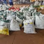 PAA: Prefeitura de Amambai distribui 7 toneladas de alimento na Aldeia Amambai