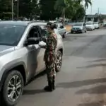 Conscientização e Ação: Semana do Meio Ambiente mobiliza Amambai com educação, parceria e plantio de mudas