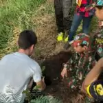 Conscientização e Ação: Semana do Meio Ambiente mobiliza Amambai com educação, parceria e plantio de mudas