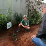 Conscientização e Ação: Semana do Meio Ambiente mobiliza Amambai com educação, parceria e plantio de mudas