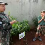 Conscientização e Ação: Semana do Meio Ambiente mobiliza Amambai com educação, parceria e plantio de mudas