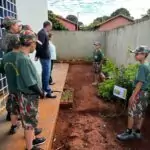 Conscientização e Ação: Semana do Meio Ambiente mobiliza Amambai com educação, parceria e plantio de mudas