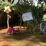 Maio foi mês de encantamento nas escolas de Amambai