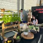 Colégio CELQ realiza Feira de Ciências 2025 em Amambai