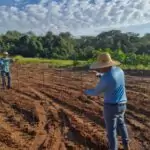 IFMS e Prefeitura de Amambai iniciam curso de formação em piscicultura com foco no desenvolvimento local