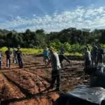 IFMS e Prefeitura de Amambai iniciam curso de formação em piscicultura com foco no desenvolvimento local