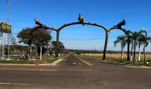 Governo de Mato Grosso do Sul lança licitações para restauração da MS-156 em parceria com o BNDES