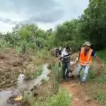 Prefeitura de Amambai realiza ação conjunta para interromper acesso irregular e limpar margens do Córrego Areião Prefeitura de Amambai realiza ação conjunta para interromper acesso irregular e limpar margens do Córrego Areião