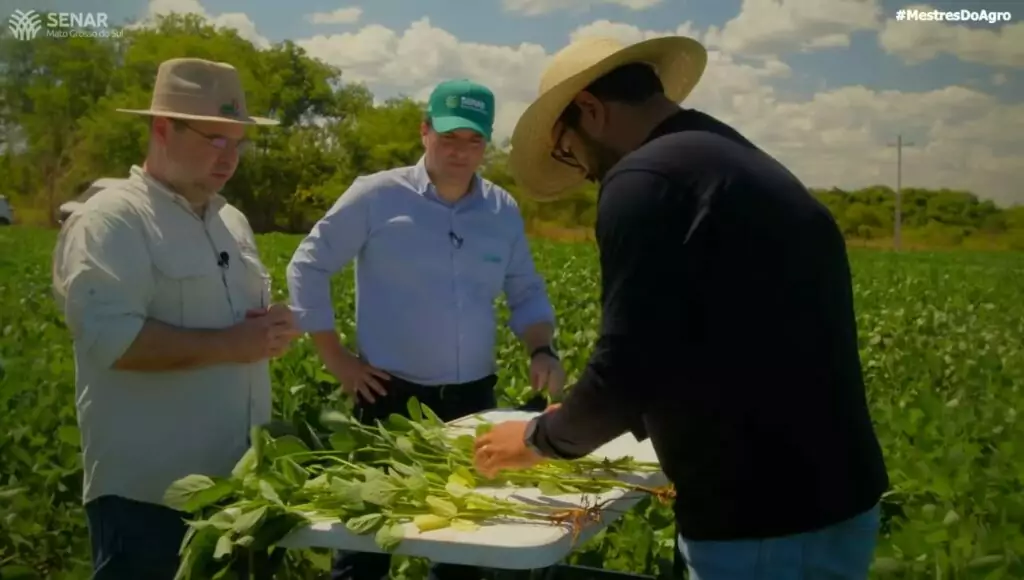 Morador de Amambai chega à final do reality “Mestres do Agro Brasil” e pede apoio do Cone Sul Morador de Amambai chega à final do reality “Mestres do Agro Brasil” e pede apoio do Cone Sul