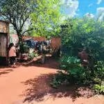 Aumento de casos de dengue e chikungunya acende alerta em Amambai