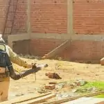 Aumento de casos de dengue e chikungunya acende alerta em Amambai