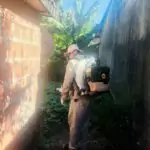 Aumento de casos de dengue e chikungunya acende alerta em Amambai