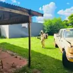 Aumento de casos de dengue e chikungunya acende alerta em Amambai