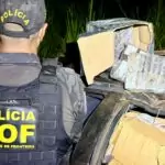 DOF apreende drogas, agrotóxicos e cigarros eletrônicos após perseguição e capotamento em Mundo Novo