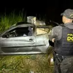 DOF apreende drogas, agrotóxicos e cigarros eletrônicos após perseguição e capotamento em Mundo Novo