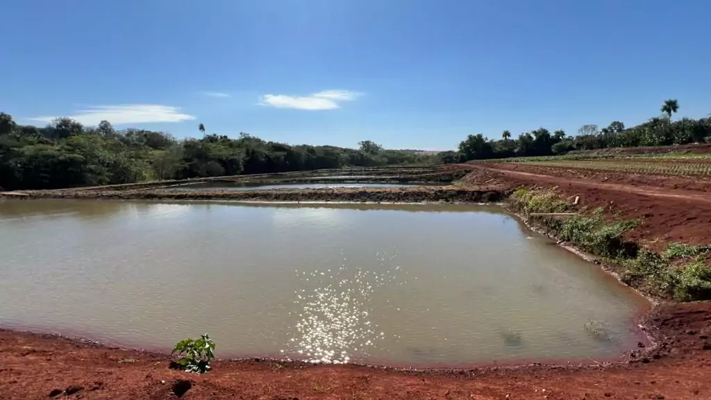 Produção diversificada fortalece a economia local, gera renda e amplia o abastecimento regional em Amambai Produção diversificada fortalece a economia local, gera renda e amplia o abastecimento regional em Amambai